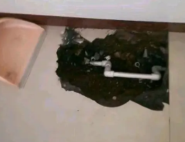 文峰卫生间测漏水多少钱